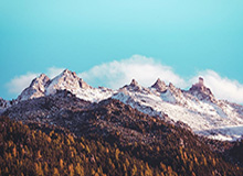 疯狂小杨哥吃瓜视频下载,揭秘娱乐圈幕后真相