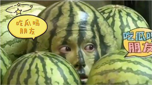 恶搞吃瓜配音搞笑视频大全,笑料横生！恶搞吃瓜配音搞笑视频大盘点