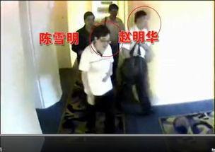 长沙法官吃瓜事件视频,法庭内外，公正与娱乐的边界