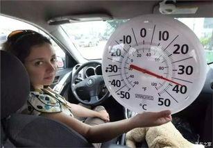 小孩在车上吃小瓜好吗视频