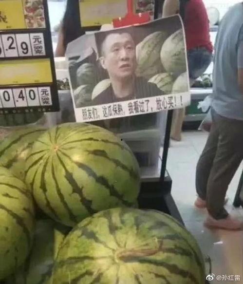 在山里饭店吃瓜的视频,美食之旅尽享田园风光