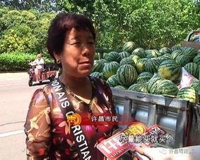 吃瓜群众挑瓜视频,瓜界达人教你如何挑出最甜最脆的瓜