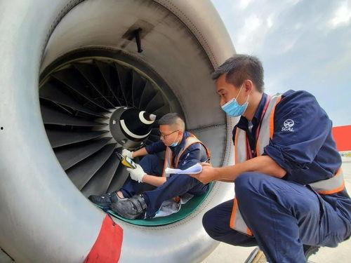 飞机上吃瓜视频在线播放,揭秘飞机上吃瓜视频的在线播放盛况