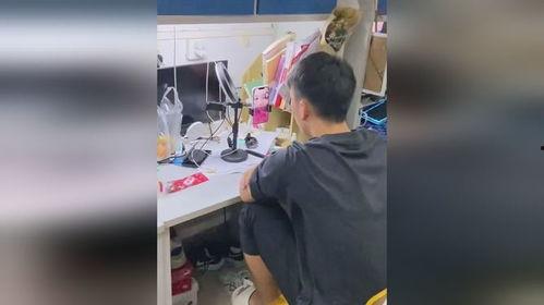 吃瓜人士最新视频,带你领略娱乐圈幕后风云