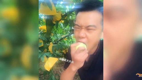 沙漠吃瓜搞笑视频合集,吃瓜搞笑视频合集欢乐无限