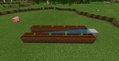 吃瓜我的世界视频,揭秘虚拟世界的欢乐与奇遇